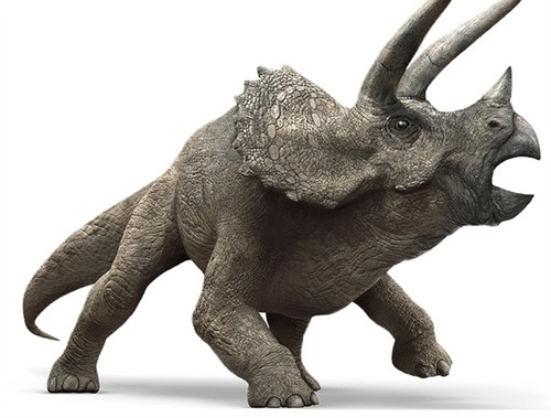 巨兽肆虐的天下——《侏罗纪世界》23种恐龙大百科