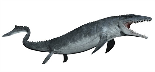 巨兽肆虐的天下——《侏罗纪世界》23种恐龙大百科