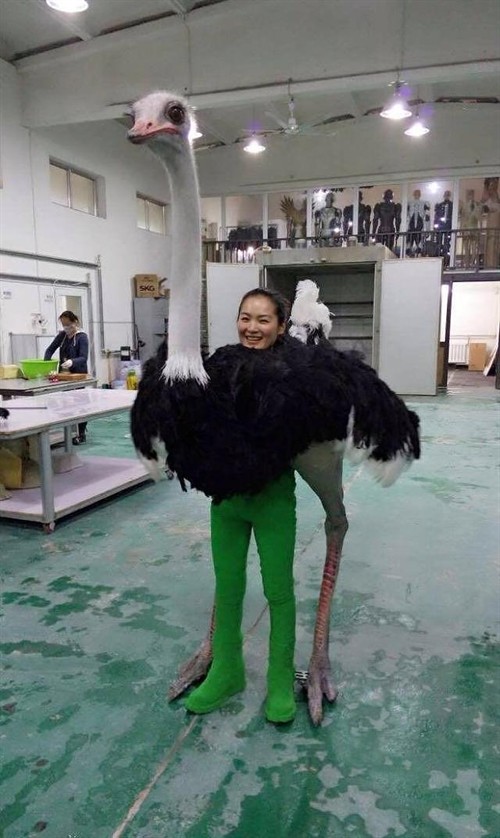 此外,这只逼真的鸵鸟,是假的,哈哈哈~4,鸵鸟出现了三次,第一次寓意了
