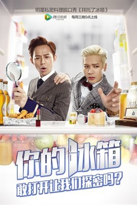 拜托了冰箱2015年中国电视剧