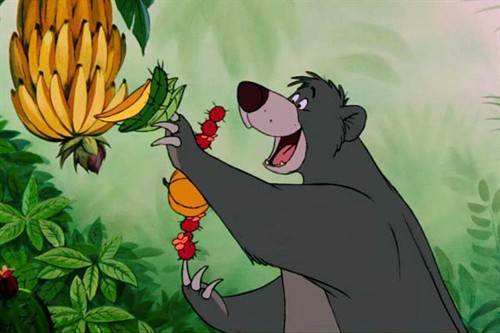 毛克利分出了一些木瓜,还简短阐述了木瓜的移植历史(解释了1967版动画