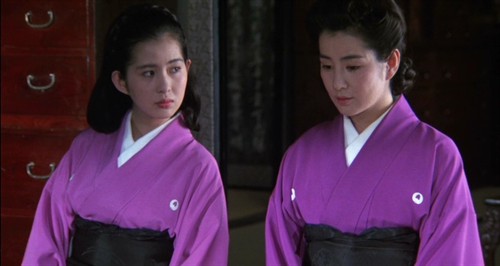 《细雪》——樱花烂漫几多时