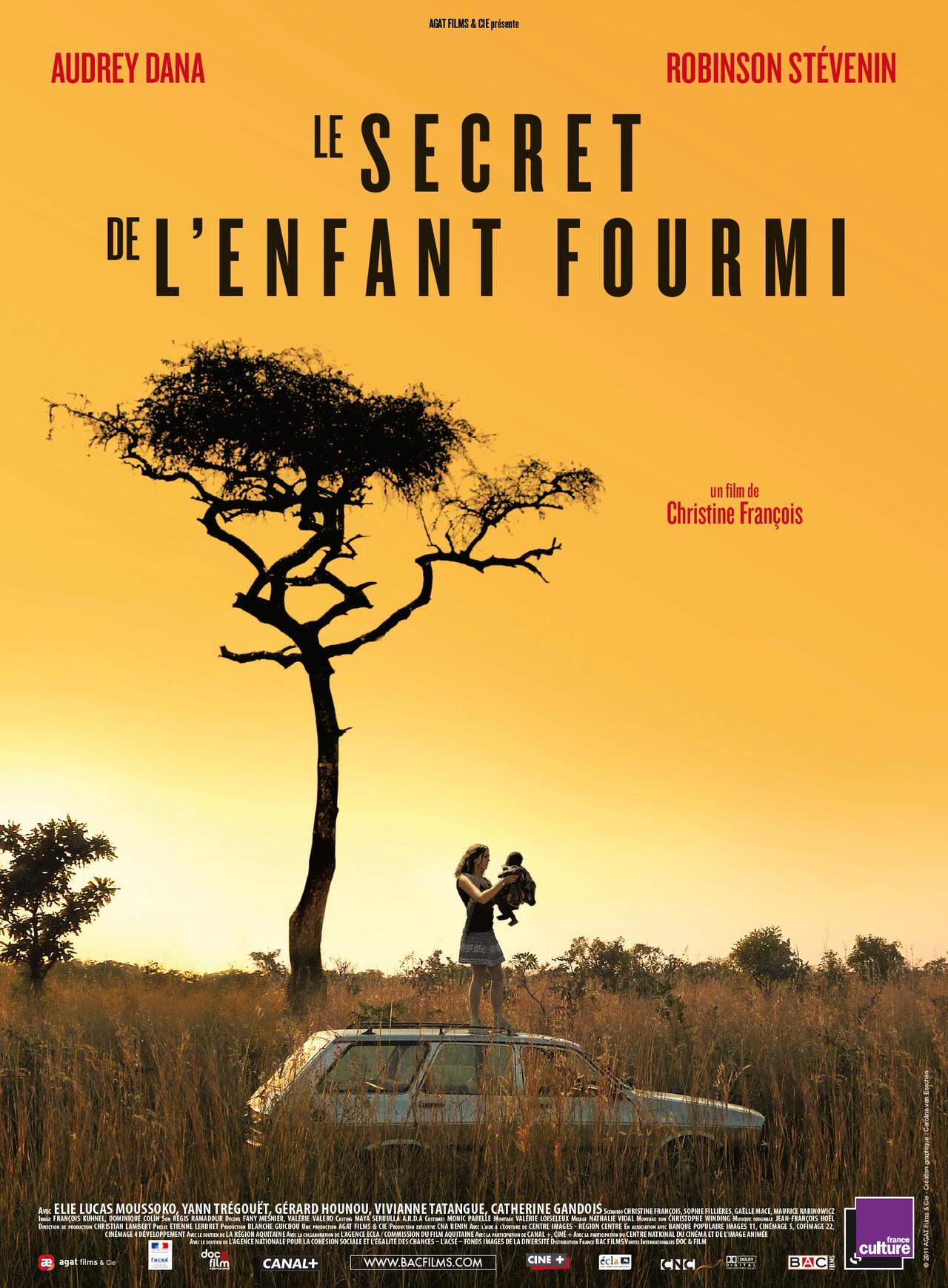 Le secret de l'enfant-fourmi海报