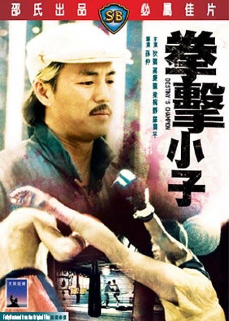 拳击小子海报