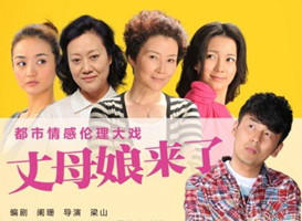 丈母娘来了海报