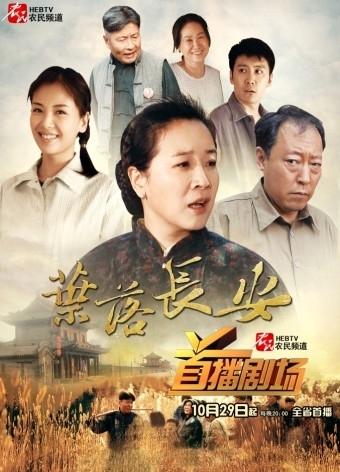 叶落长安海报