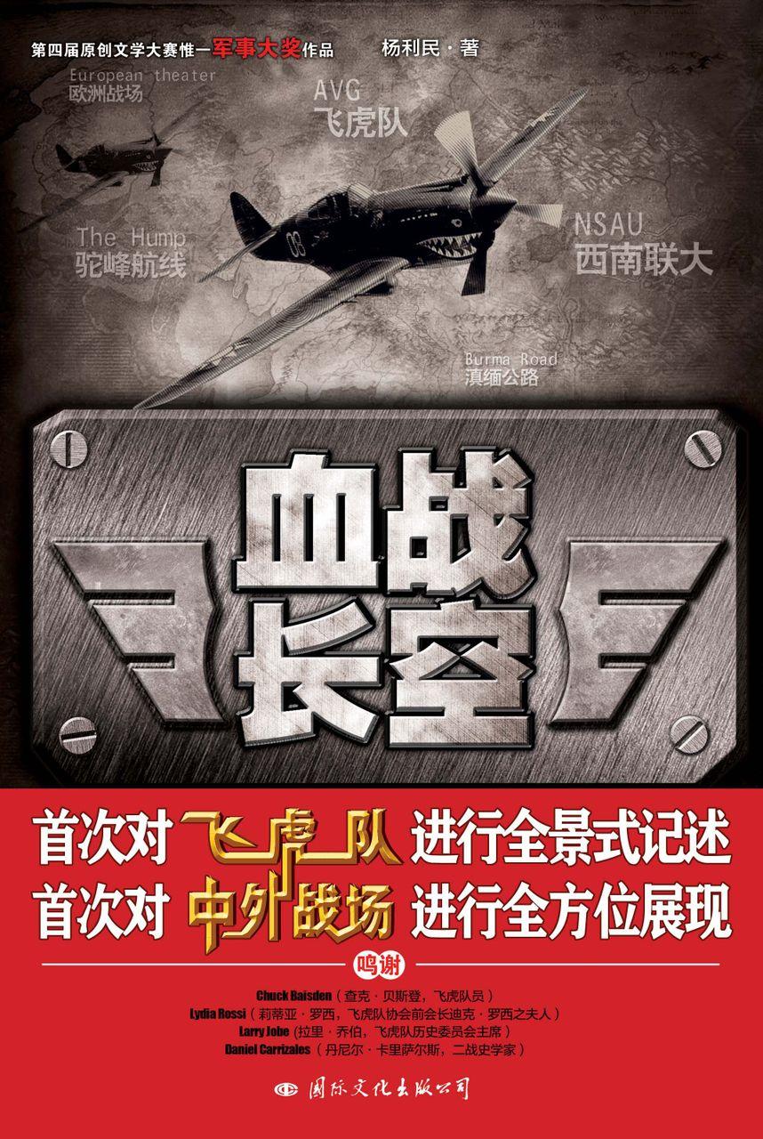 血战长空海报