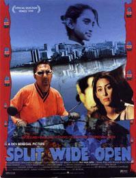 Split Wide Open海报