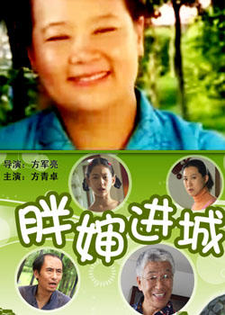 胖婶进城海报
