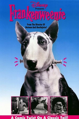 科学怪狗(1984年 美国 电影)