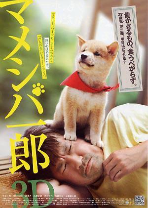 豆柴小犬3D版