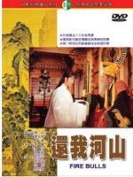 还我河山海报