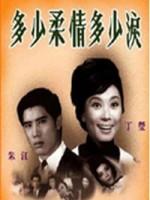 多少柔情多少泪海报
