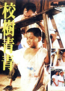 校树青青海报