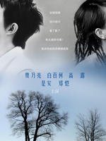 离婚前规则海报