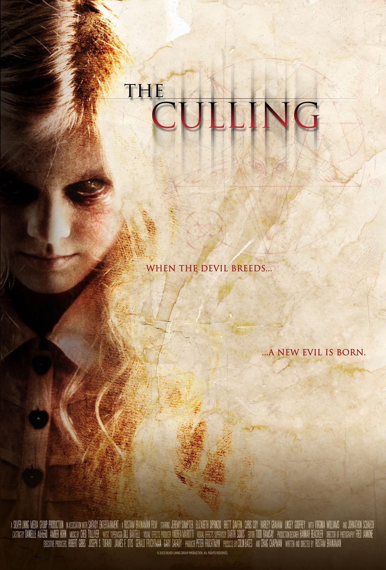 The Culling海报