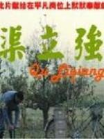 渠立强海报