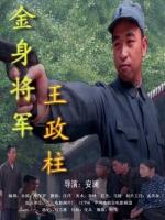 金身将军王政柱海报