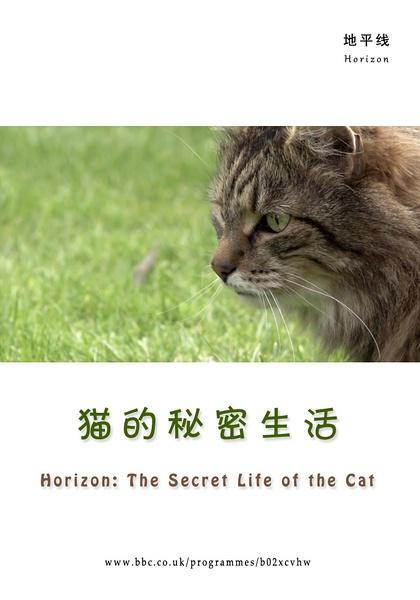 猫的秘密生活海报