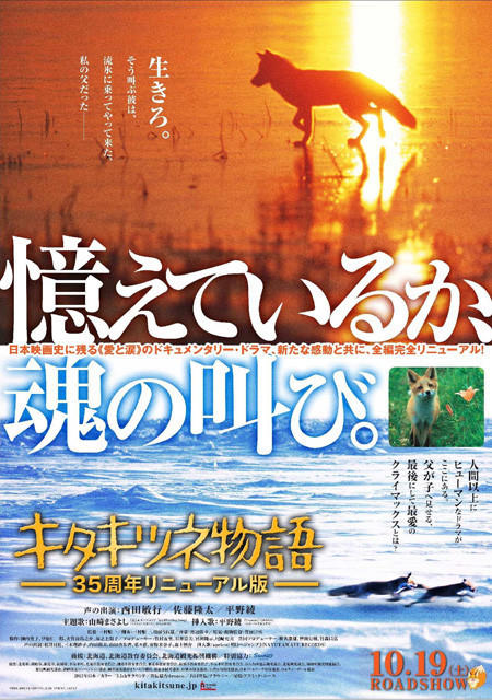 狐狸的故事 35周年重制版海报