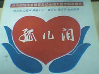 孤儿泪海报