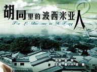 胡同里的波西米亚人海报