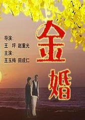 金婚海报