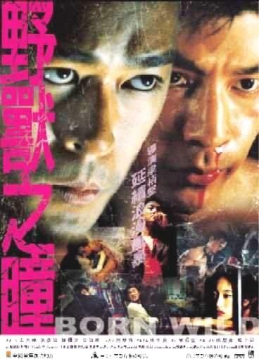 野兽之瞳海报
