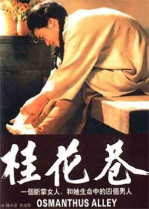 桂花巷海报