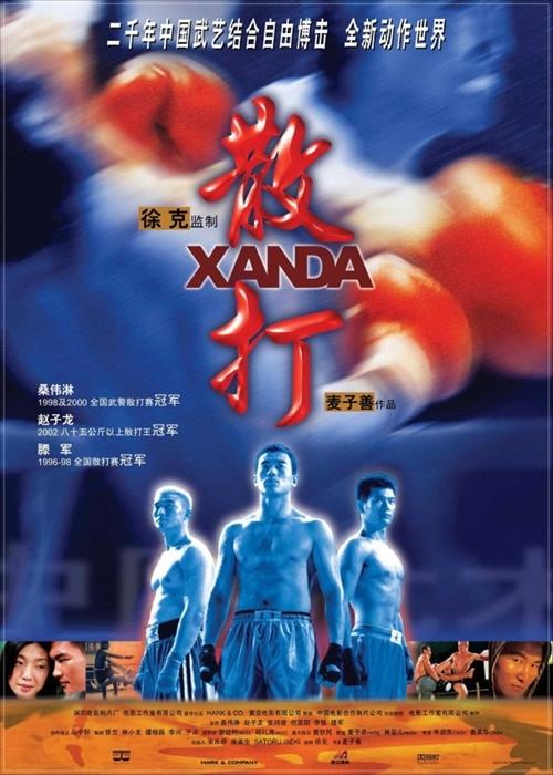 散打海报