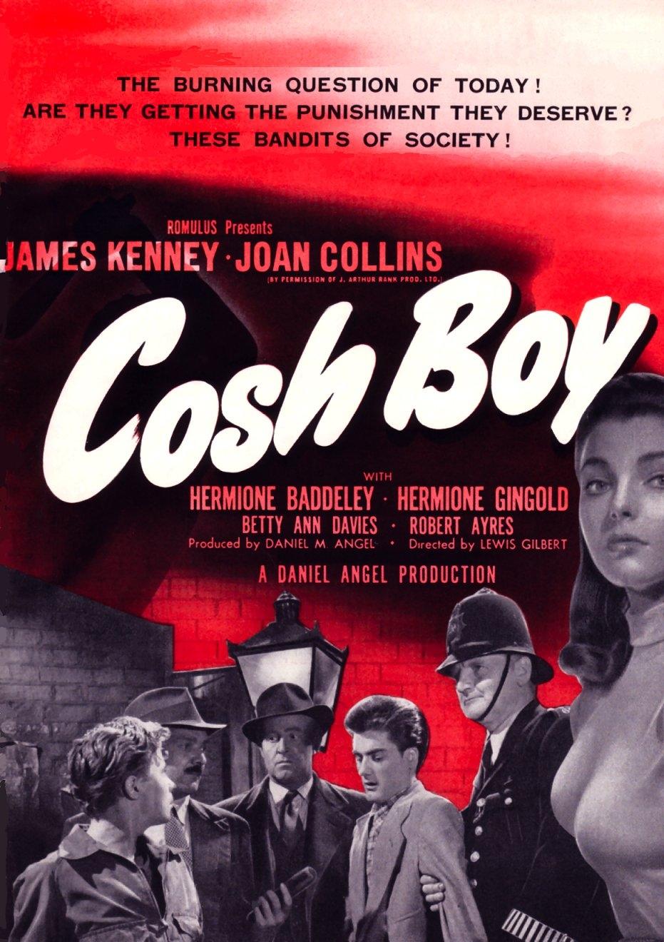 Cosh Boy海报