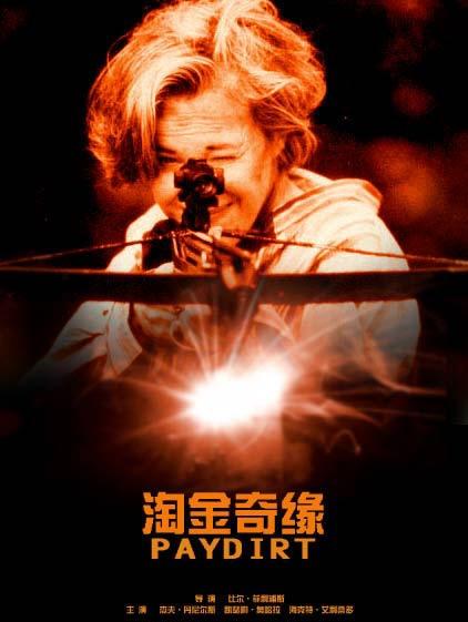 淘金奇缘海报
