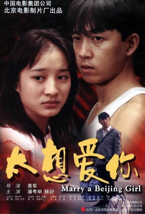 太想爱你海报