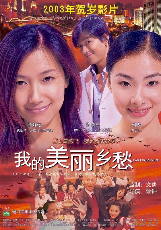 我的美丽乡愁海报