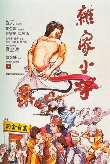 杂家小子海报