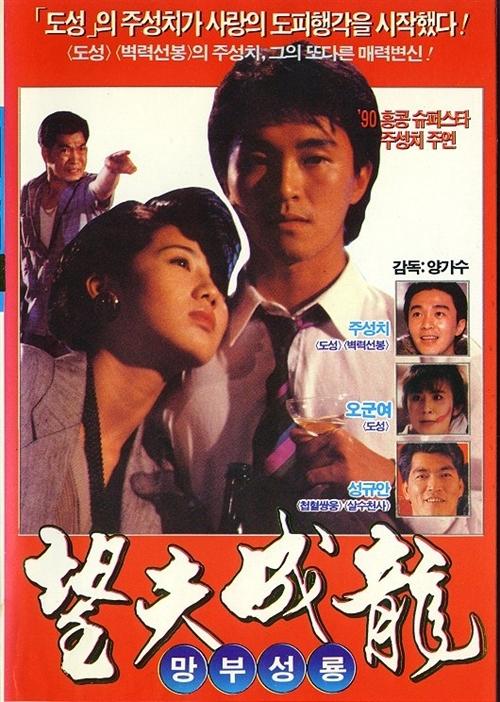 望夫成龙海报