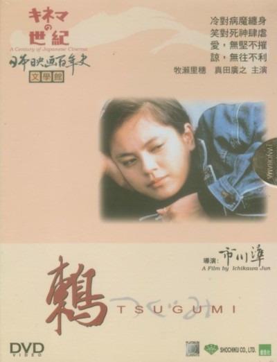 鸫海报