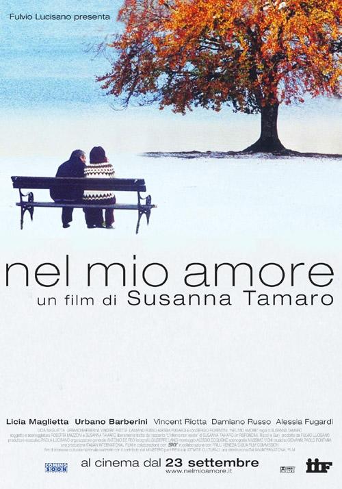 Nel mio amore海报
