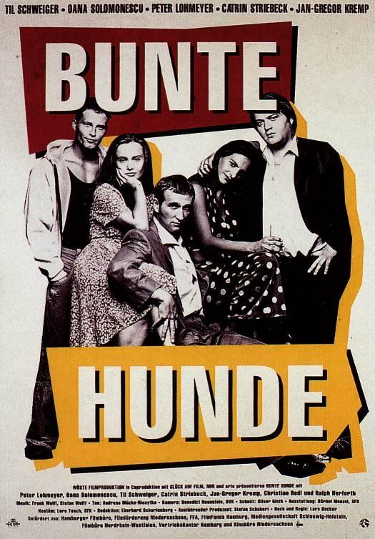 Bunte Hunde海报