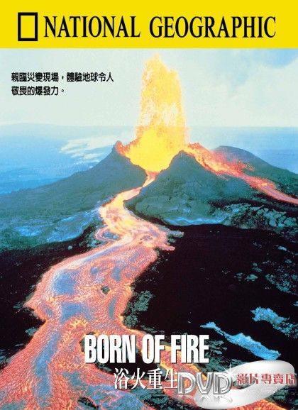 浴火重生海报