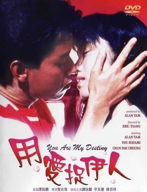 用爱捉伊人海报