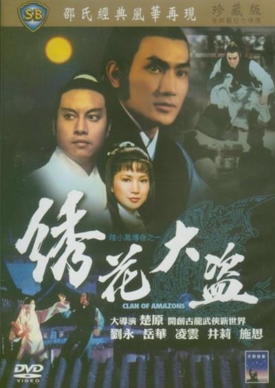 绣花大盗海报