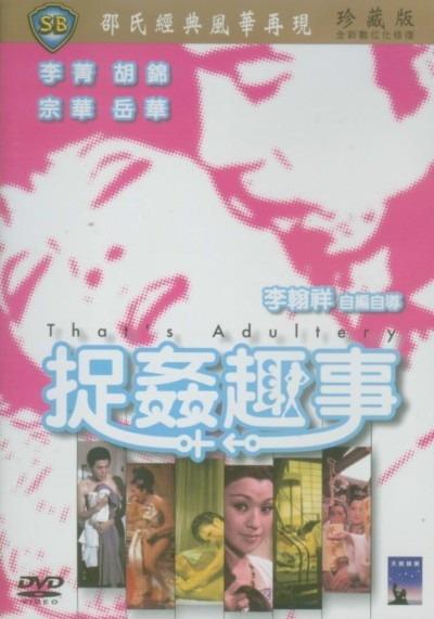 捉奸趣事海报