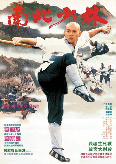 南北少林海报