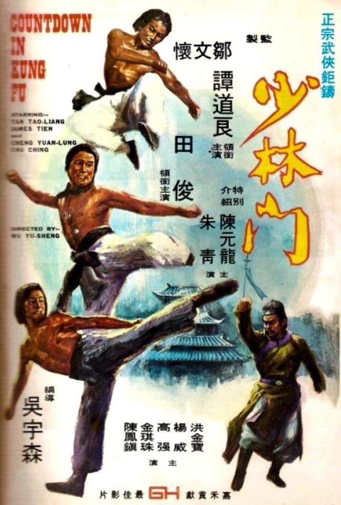 少林门海报