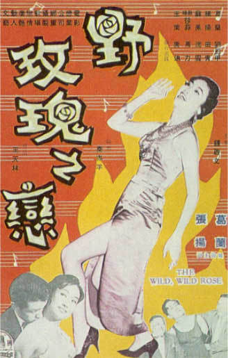 野玫瑰之恋海报