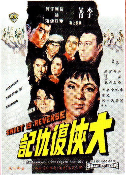 大侠复仇记海报
