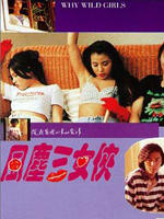 风尘三女侠海报