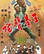 独臂拳王海报