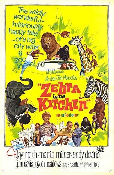 Zebra in the Kitchen海报
